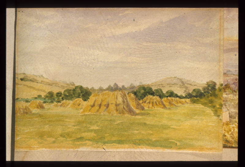 Corn Stooks,One Tree Hill, Honor Oak,