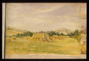 Corn Stooks,One Tree Hill, Honor Oak,