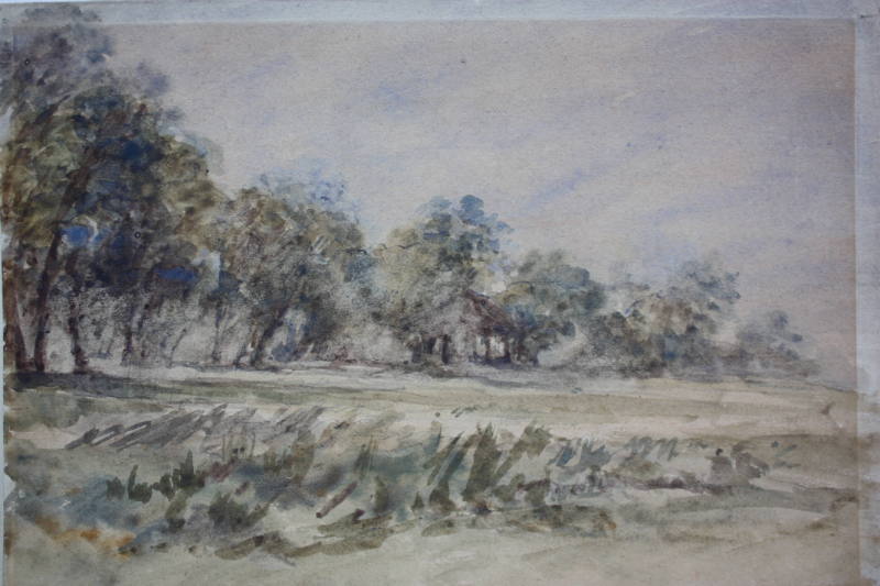 Dulwich Wood and Common 1870