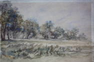 Dulwich Wood and Common 1870