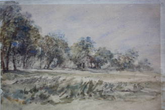 Dulwich Wood and Common 1870