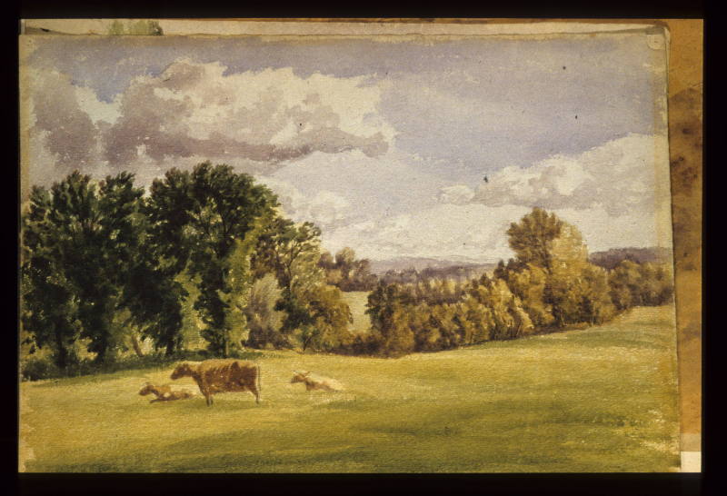 Ravensbourne Valley