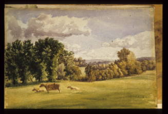 Ravensbourne Valley