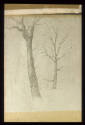 Study of Trees