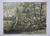 On the Ravensbourne
