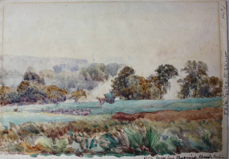 From Grove Lane, Burning Weeds, Autumn / Tooting Common