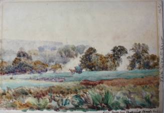 From Grove Lane, Burning Weeds, Autumn / Tooting Common