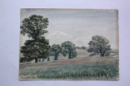 Brockley Fields 1880