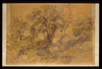 Dulwich, Study of Trees Sep 9 1914