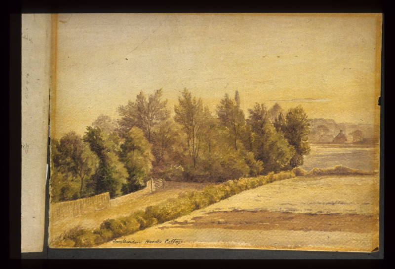 Queens Road, Field and Copse from H's Cottage