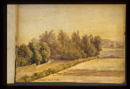 Queens Road, Field and Copse from H's Cottage