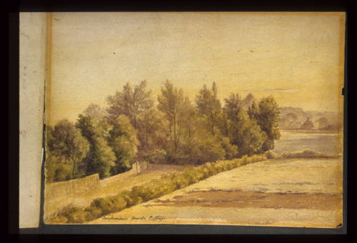 Queens Road, Field and Copse from H's Cottage