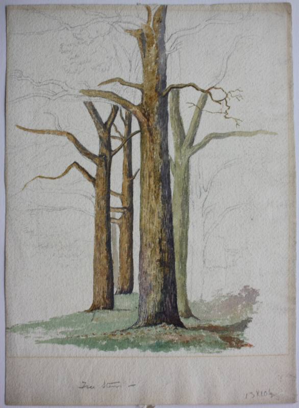 Study of Trees (unfinished)