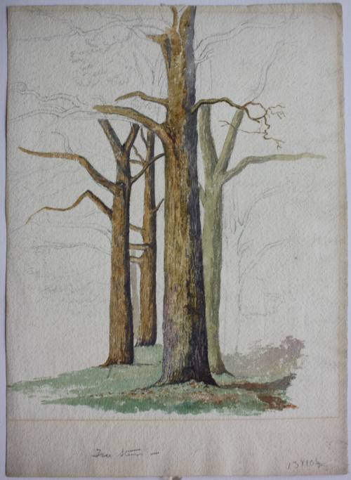 Study of Trees (unfinished)