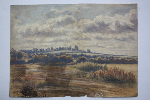 Peckham Fields 1850