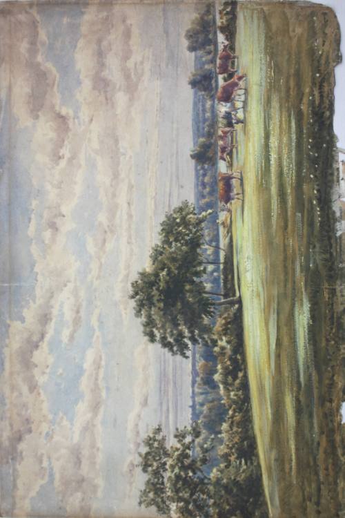 Brockley, Meadows by Ravensbourne