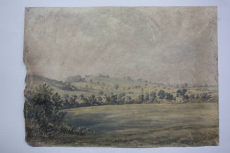 Field-slopes of One Tree and Forest Hills
