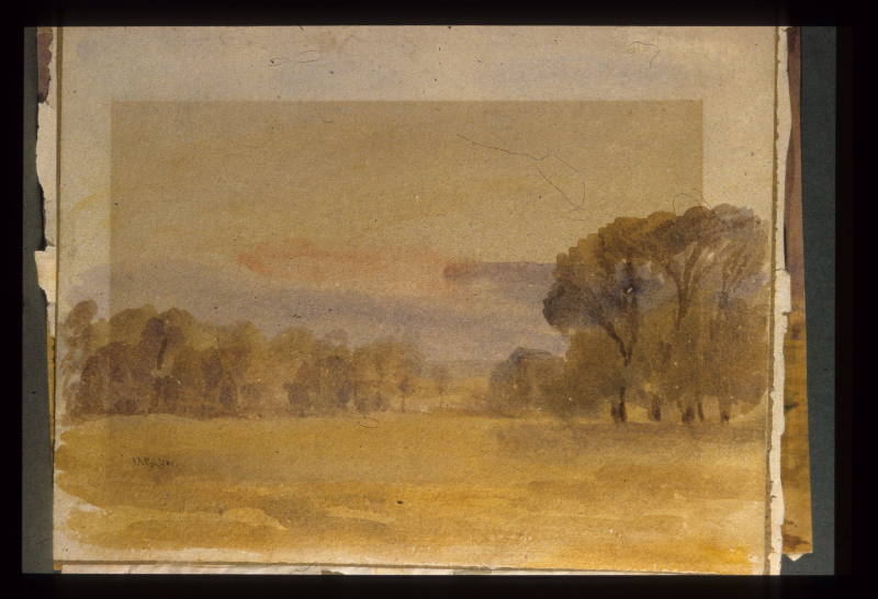Camberwell, Study of Trees
