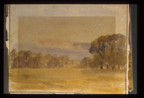Camberwell, Study of Trees