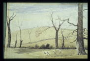 Camberwell, Trees in Winter