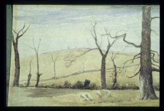 Camberwell, Trees in Winter