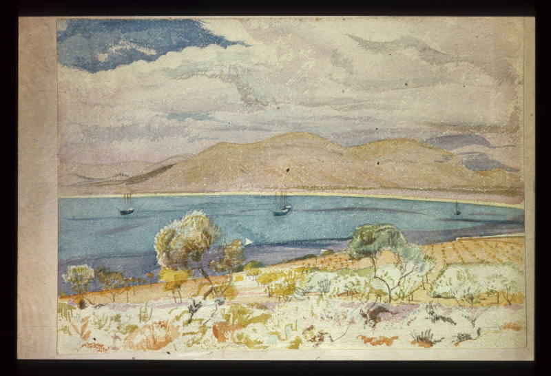 Steamships at  Anchor