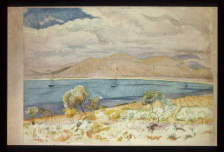 Steamships at  Anchor