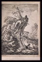 Study of Old Tree