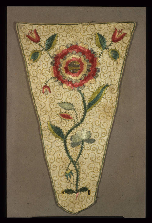 Stomacher