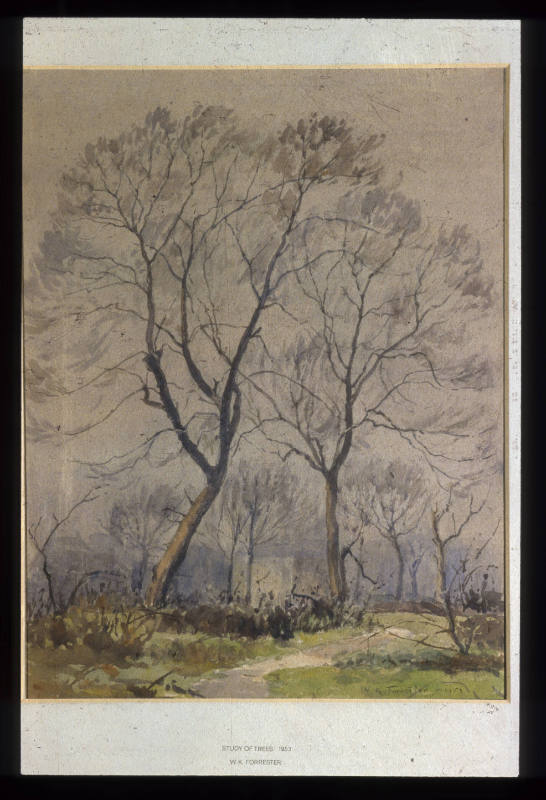 Study of Trees