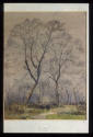 Study of Trees