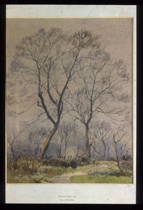 Study of Trees