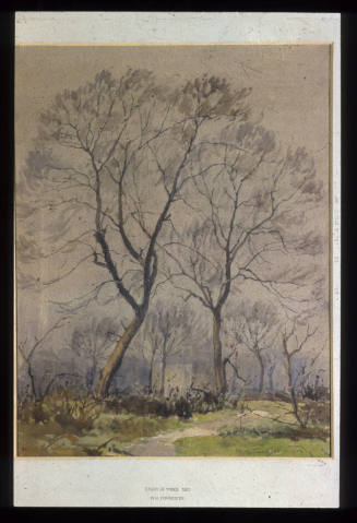 Study of Trees