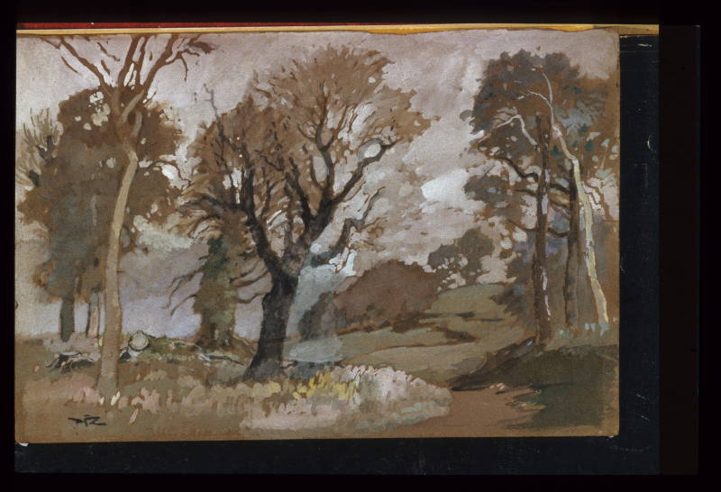 Some Sussex Trees