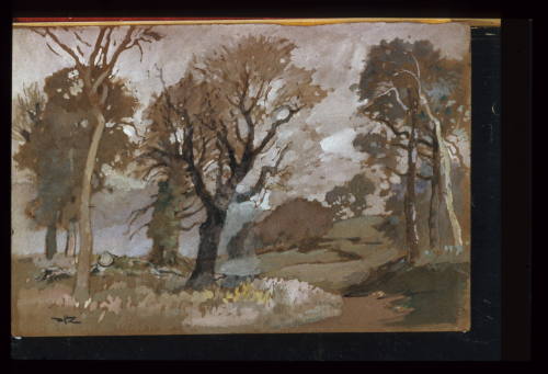 Some Sussex Trees