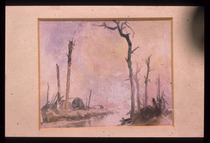 Blasted Trees by the Canal