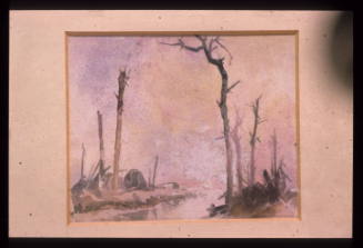Blasted Trees by the Canal