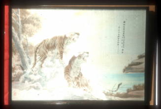 Tigers Hankow Gift