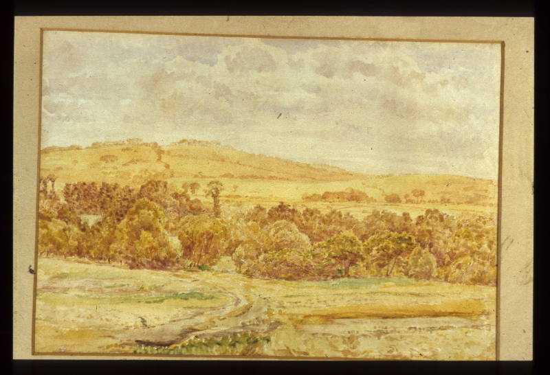 One Tree Hill from the North