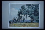 Coastal View through Trees