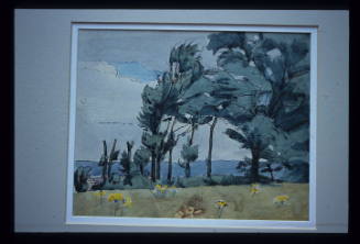 Coastal View through Trees