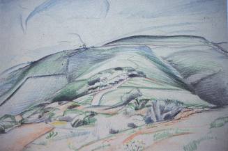 Rolling Landscape