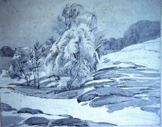 Silver Birches on Heath