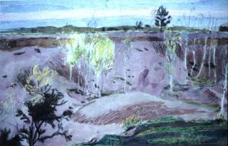 Silver Birches In Quarry