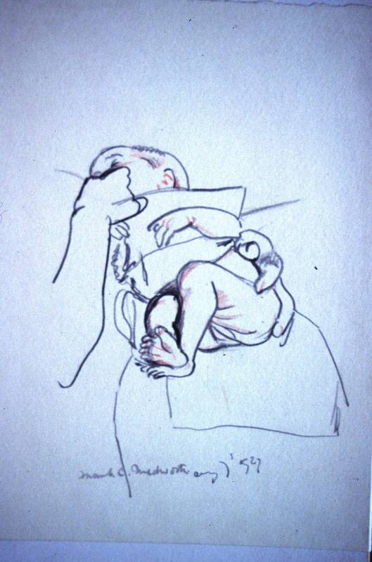 Diana Medworth