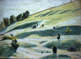 Untitled. A Hillside