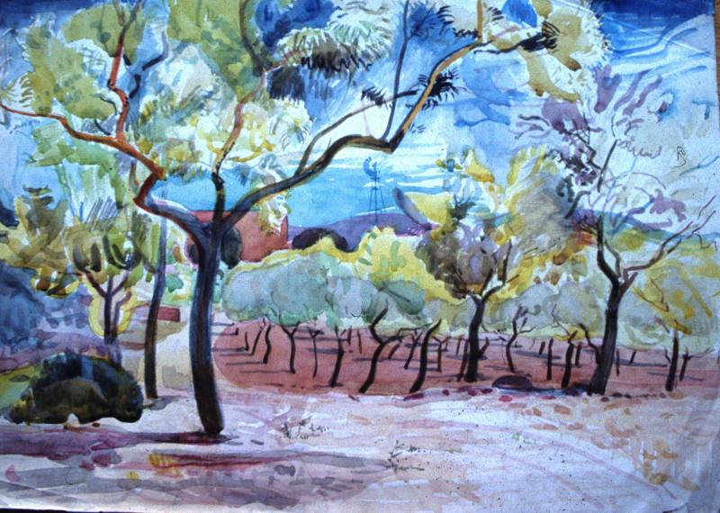 Untitled. Olive Orchard in Mallorca