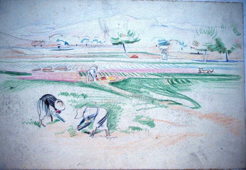 Field Workers, Mallorca