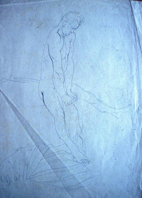 Nude Male Study