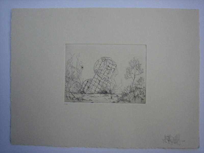 Vanitas Geo